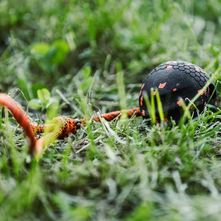 Non-Stop Dogwear Dog Ball On Rope - Orange/Black