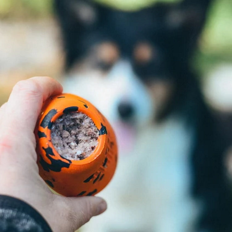 Non-Stop Dogwear Dog Throw Toy - Orange/Black