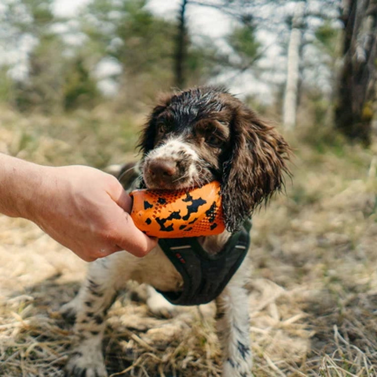 Non-Stop Dogwear Dog Throw Toy - Orange/Black