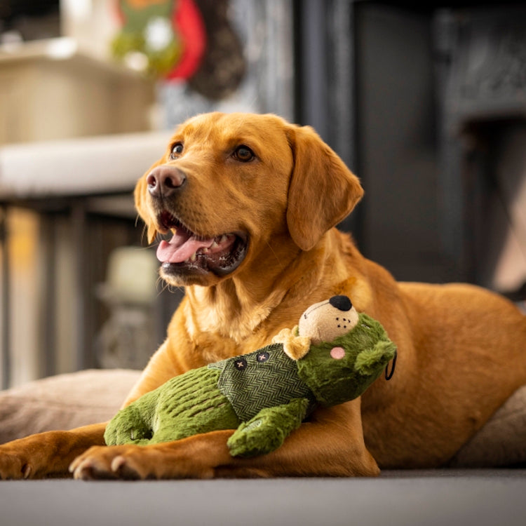 House of Paws Forest Green Bear Dog Toy