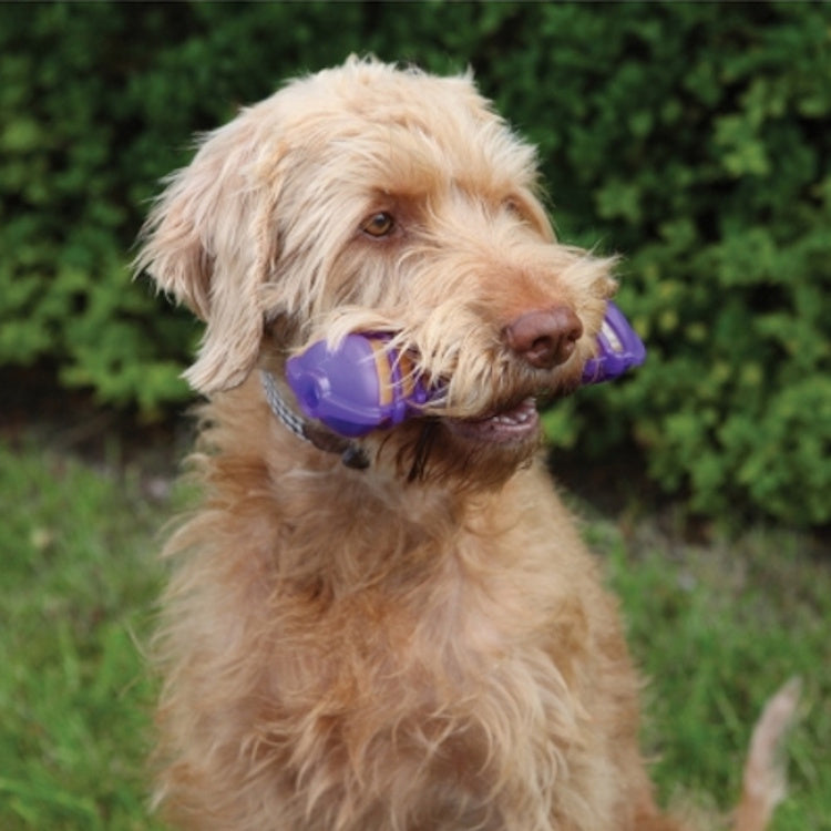 Rosewood Giggle Bone Dog Toy