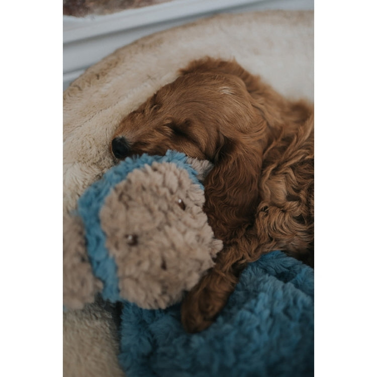 My Dog Luxury Plush Toy - Monkey