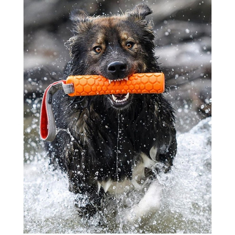 N-Gage Dog Toy - Bumper Junior