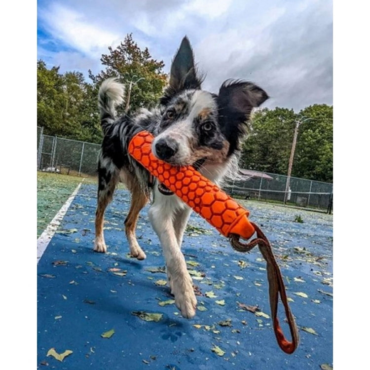 N-Gage Dog Toy - Bumper Junior