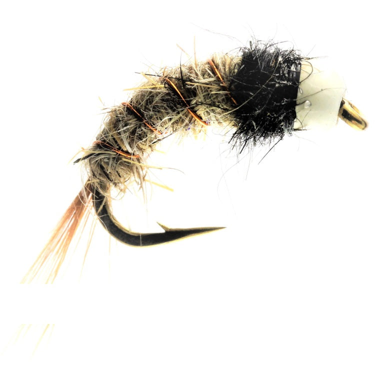 WHITEHEAD TUNGSTEN BUG
