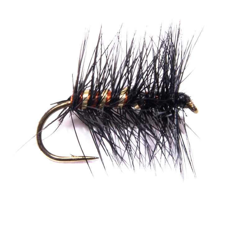 Black Palmer Hackled Dry Flies - Main Image