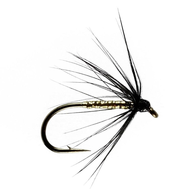 Gold and Black Spider Wet Flies