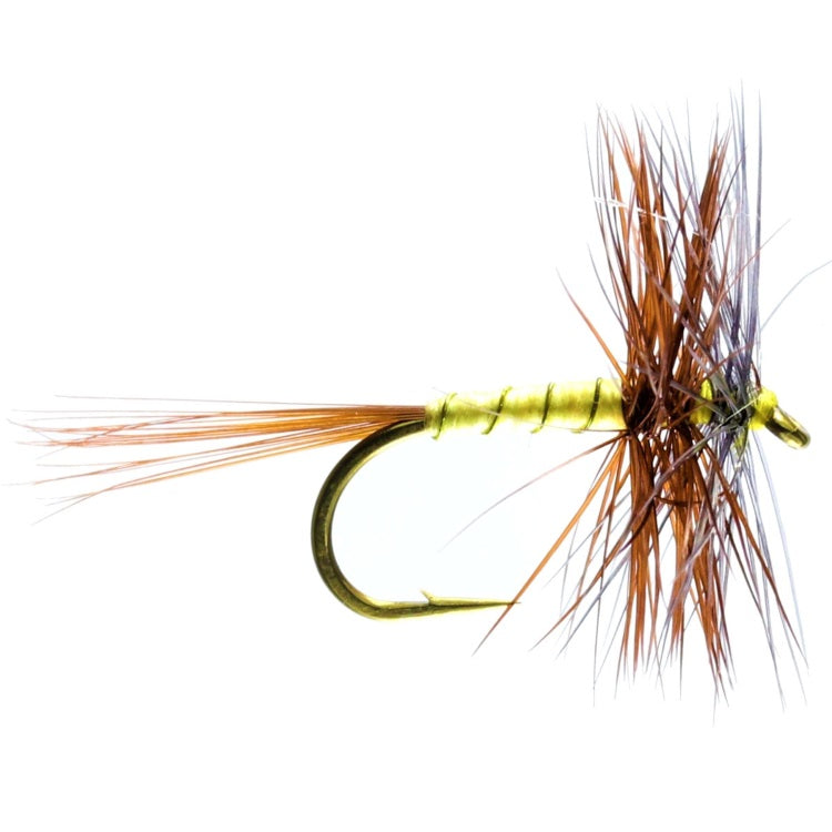 GREENWELLS SPIDER HACKLED DRY FLIES