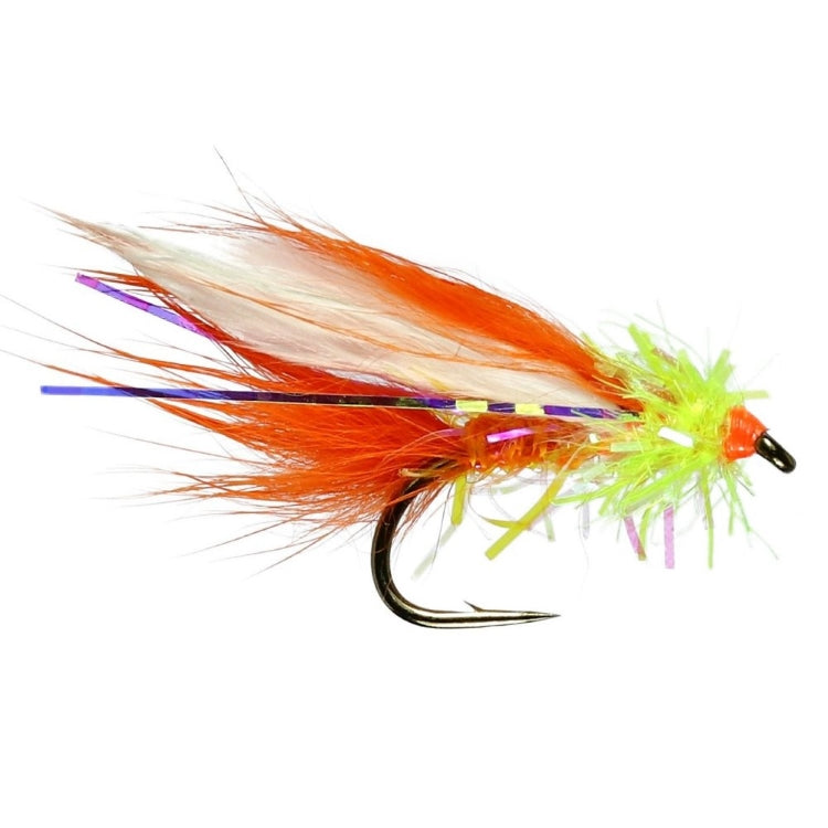 Orange Cat Flies