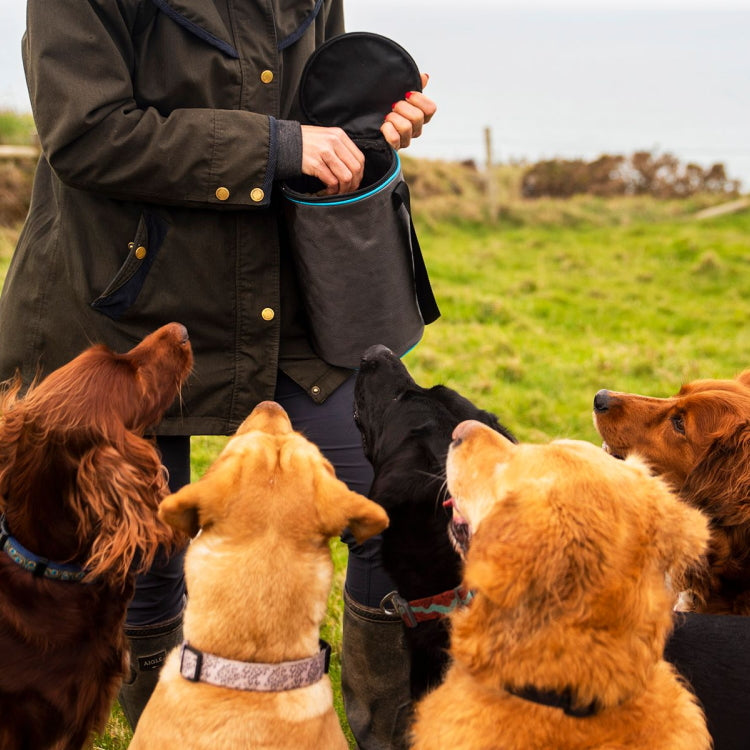 Henry Wag Dog Snack Pack Travel Food Bag