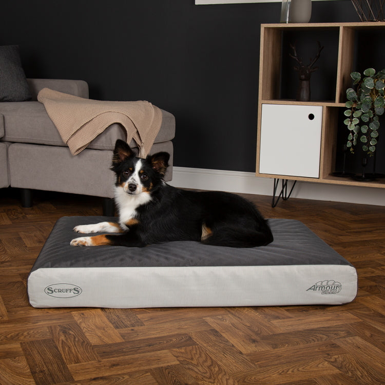 Scruffs ArmourDillo Orthopaedic Dog Bed Grey John Norris