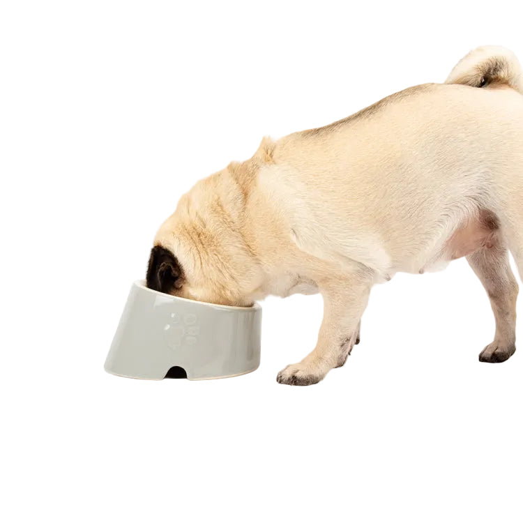 Scruffs Classic Slanted Dog Bowl - Grey