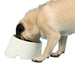 Scruffs Icon Slanted Dog Bowl - Cream