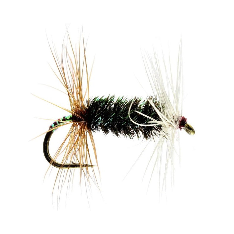 Renegade Barbed Hackled Dry Flies