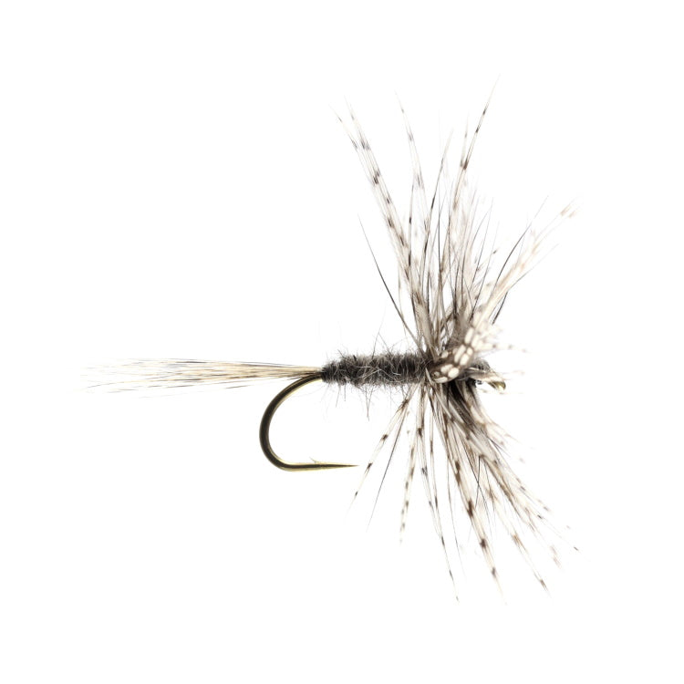 Grey March Brown Barbed Hackled Dry Flies
