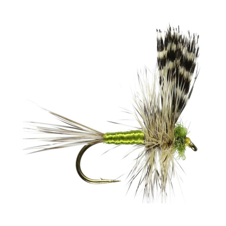 Adams Thorax Barbed Winged Dry Flies