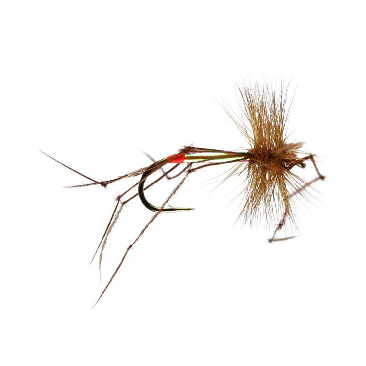 Pearly Daddy Flies