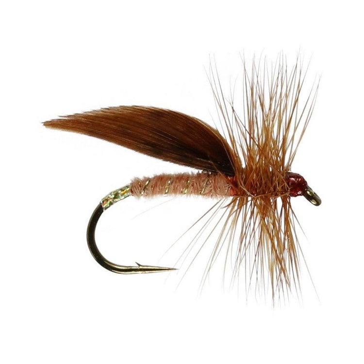 Cinnamon Sedge Flies
