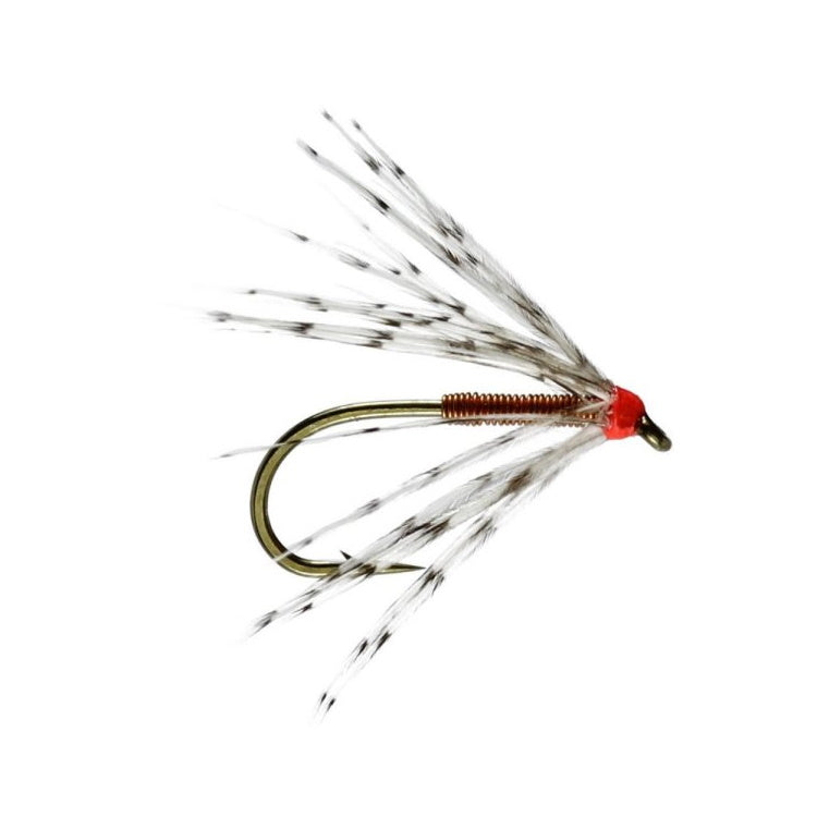 Partridge and Copper Spider