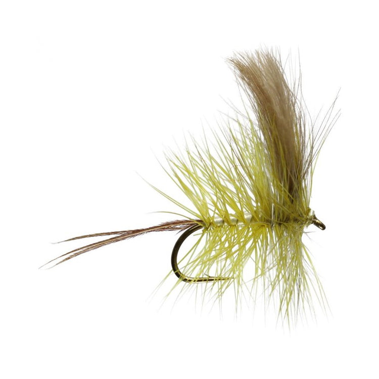 Corrib Mayfly
