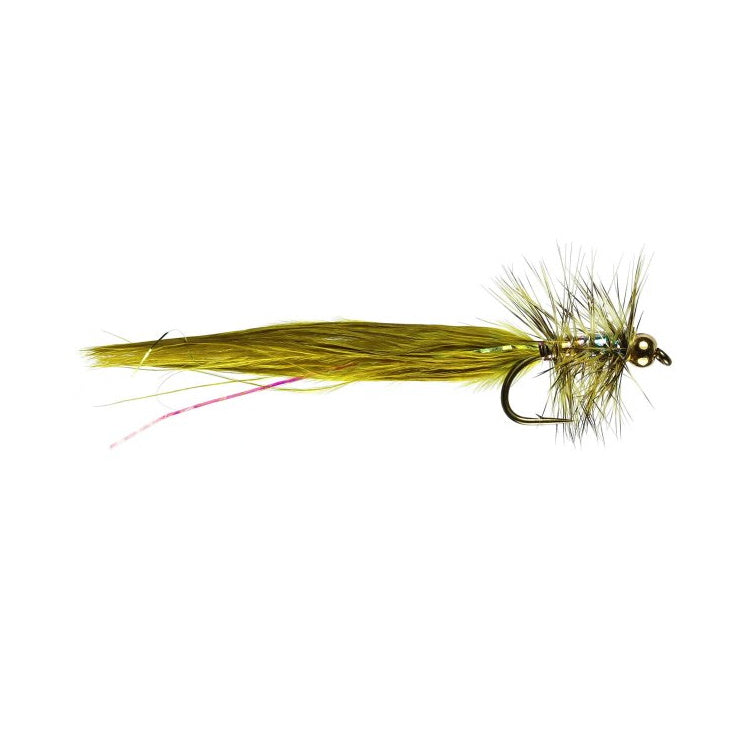 Olive Dancer Fly