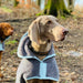 Henry Wag Microfibre Drying Dog Coat