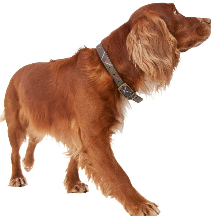 Barbour Tartan Dog Collar