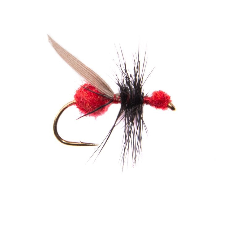 Red Flying Ant Flies