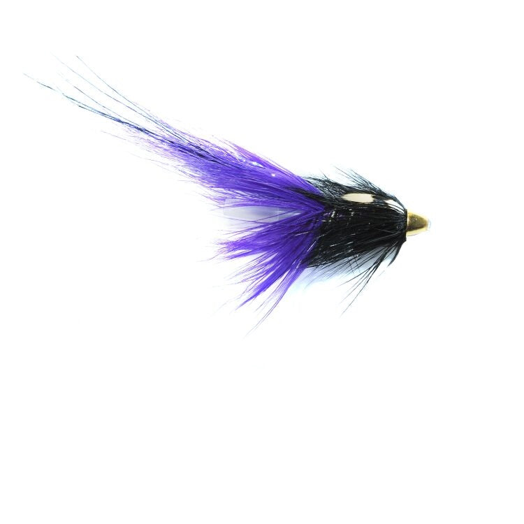 Purple PBP Flies