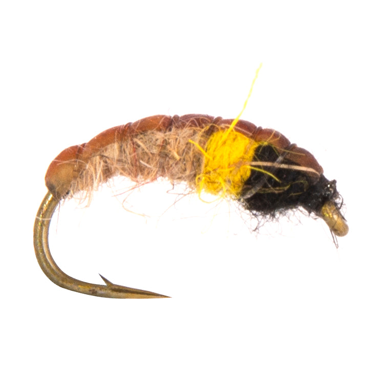 Czech Nymph Lemon Hydropsyche Flies