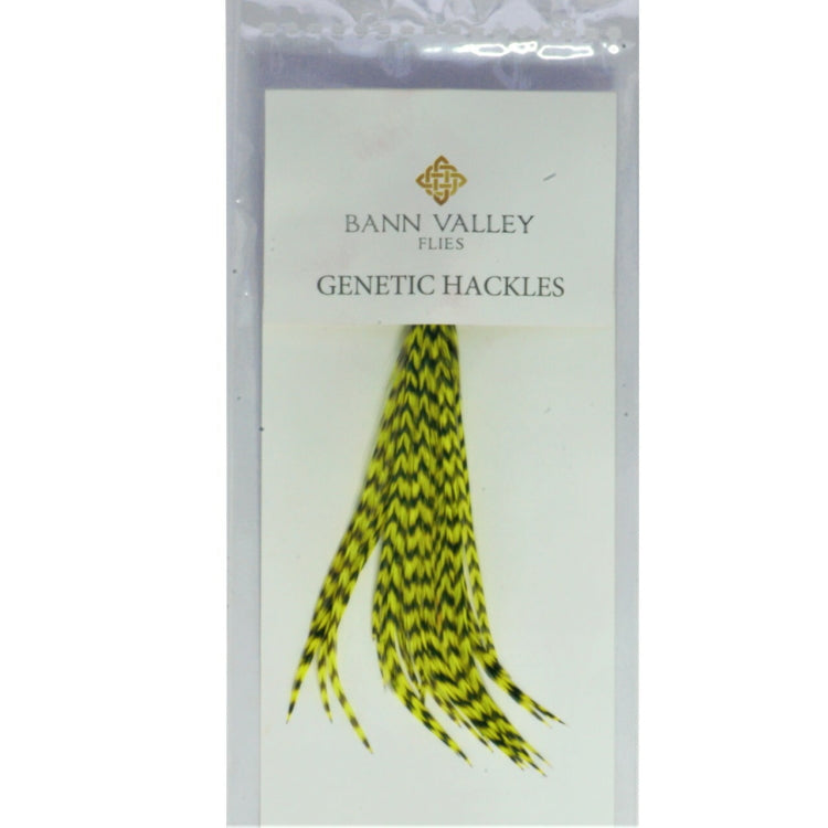 Bann Valley Genetic Hackles - Grizzle Dyed Chartreuse