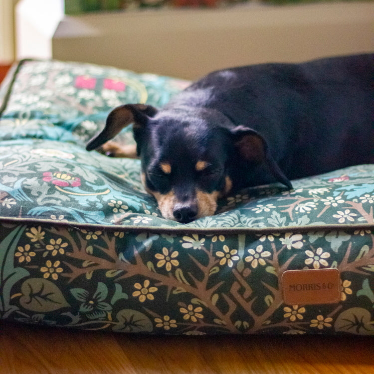 Morris and Co Pet Mattress - Blackthorn Print