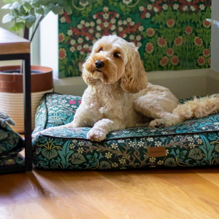 Morris and Co Pet Mattress - Blackthorn Print