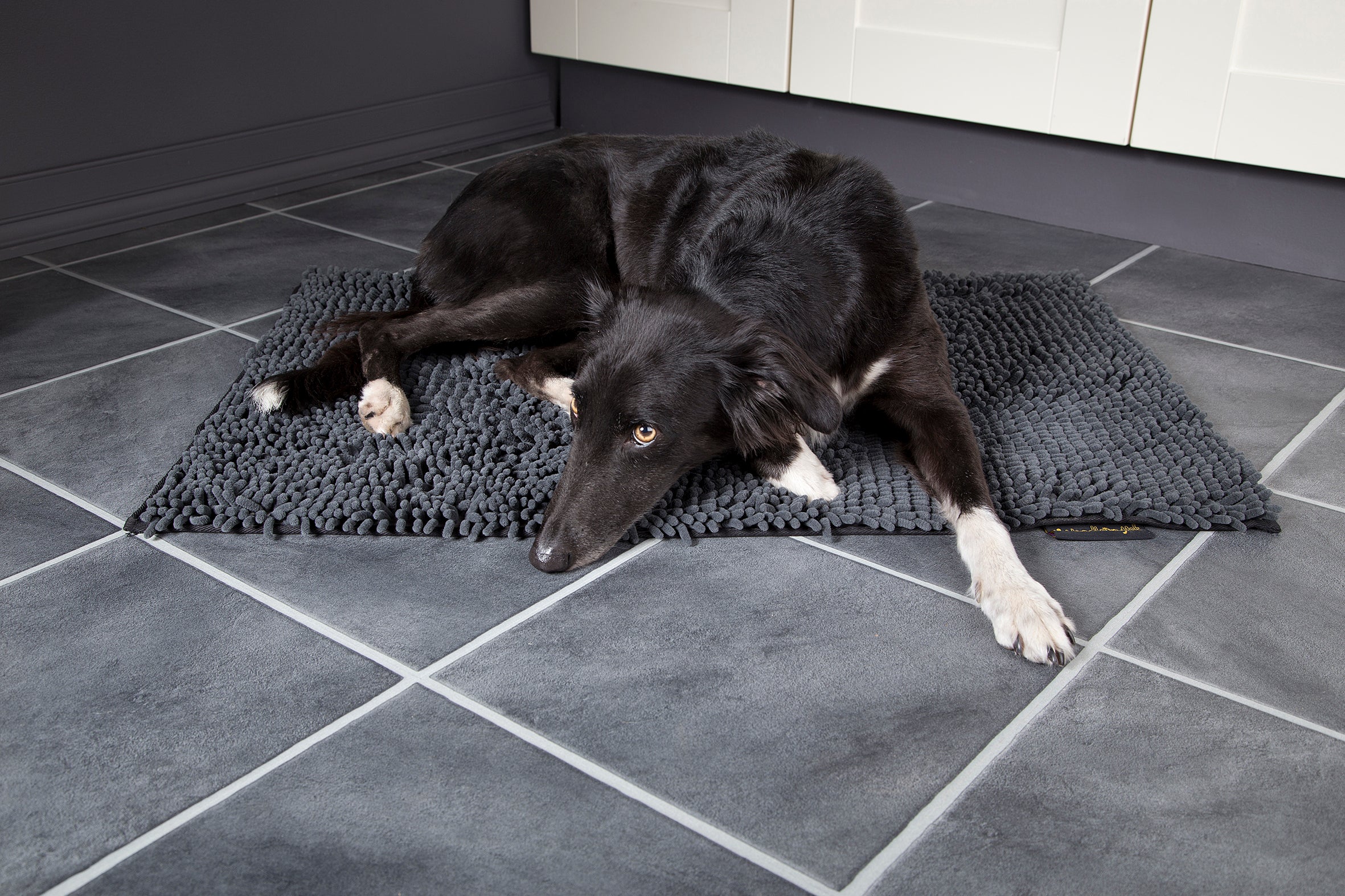 Scruffs Noodle Dry Dog Mat - Assorted Colours