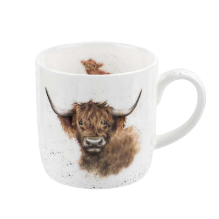 Highland Cow (Cow)