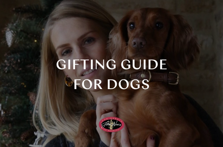 Christmas gifts for dogs: Our guide