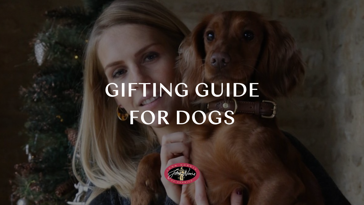 Christmas gifts for dogs: Our guide