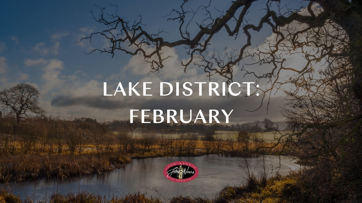 Things to do in the Lake District: February