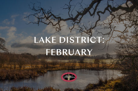 Things to do in the Lake District: February