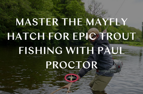 Master the Mayfly Hatch for Epic Trout Fishing with Paul Proctor