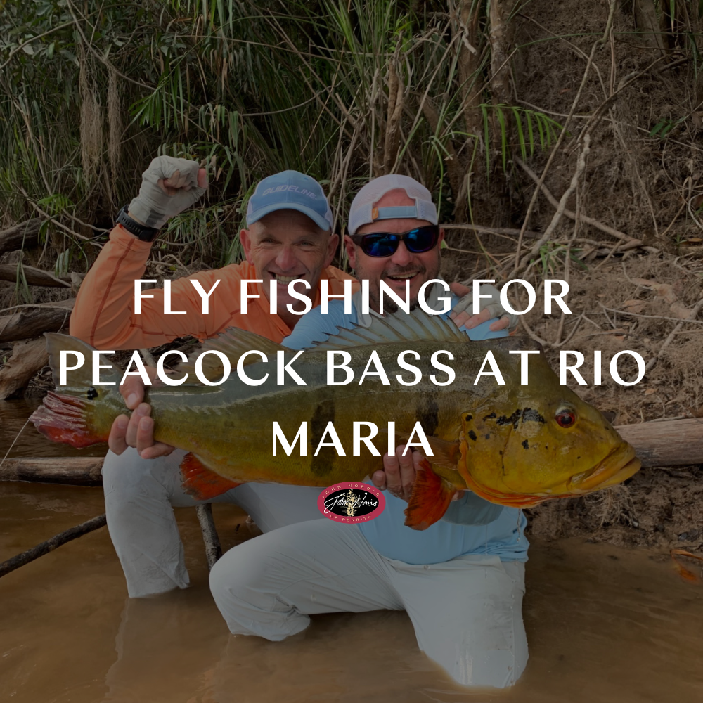 Jungle Gold: Fly Fishing for Peacock Bass at Rio Maria
