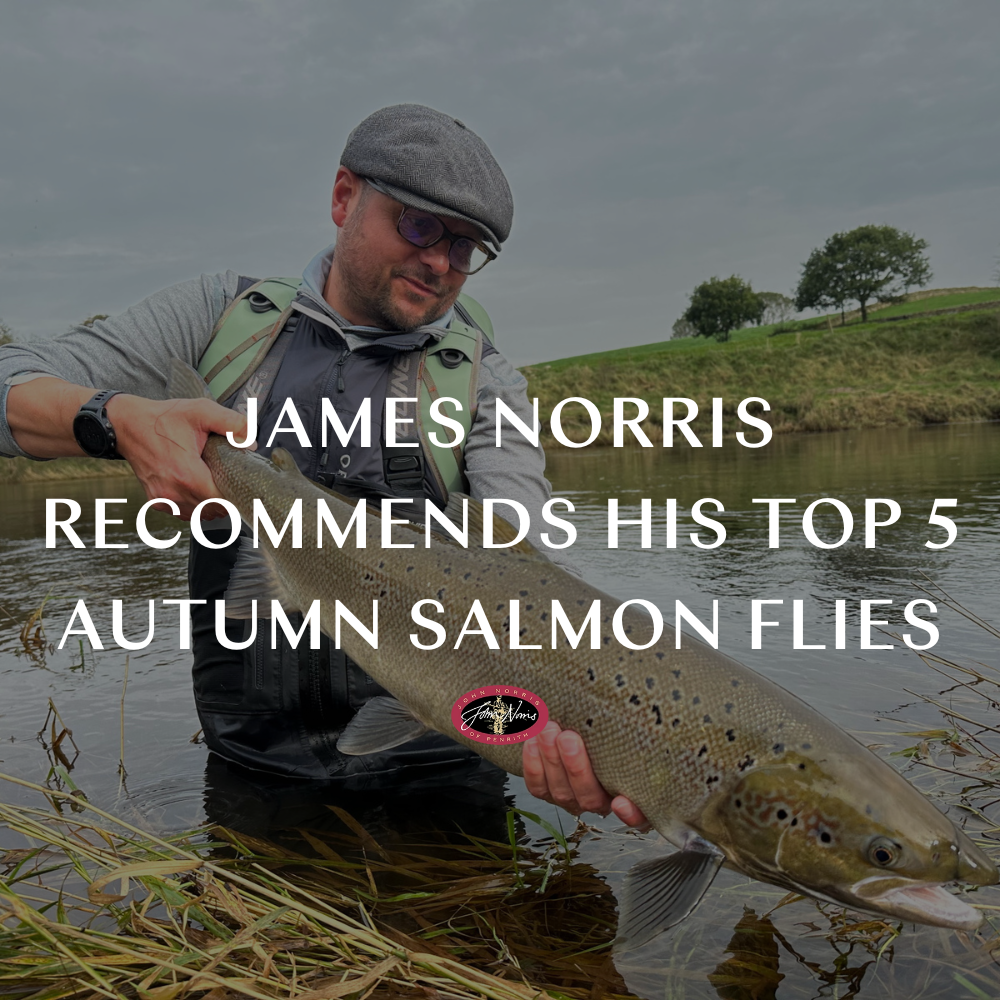 James Norris Recommends His Top 5 Autumn Salmon Flies