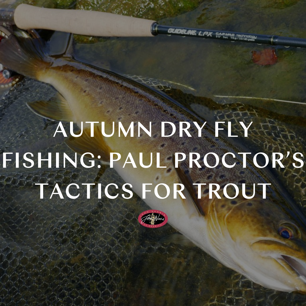 Autumn Dry Fly Fishing: Paul Proctor’s Tactics for Trout
