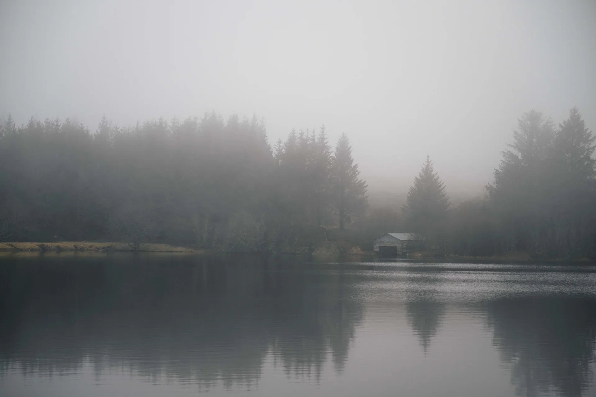 Misty woodland loch in early autumn, setting the scene for a country walk