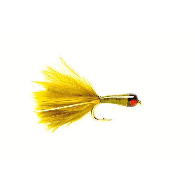 Lead Bug Olive Fly