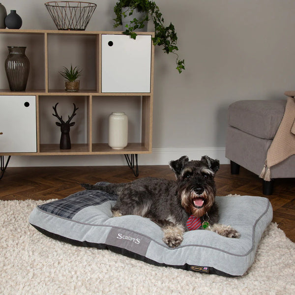 Scruffs Dog Beds John Norris