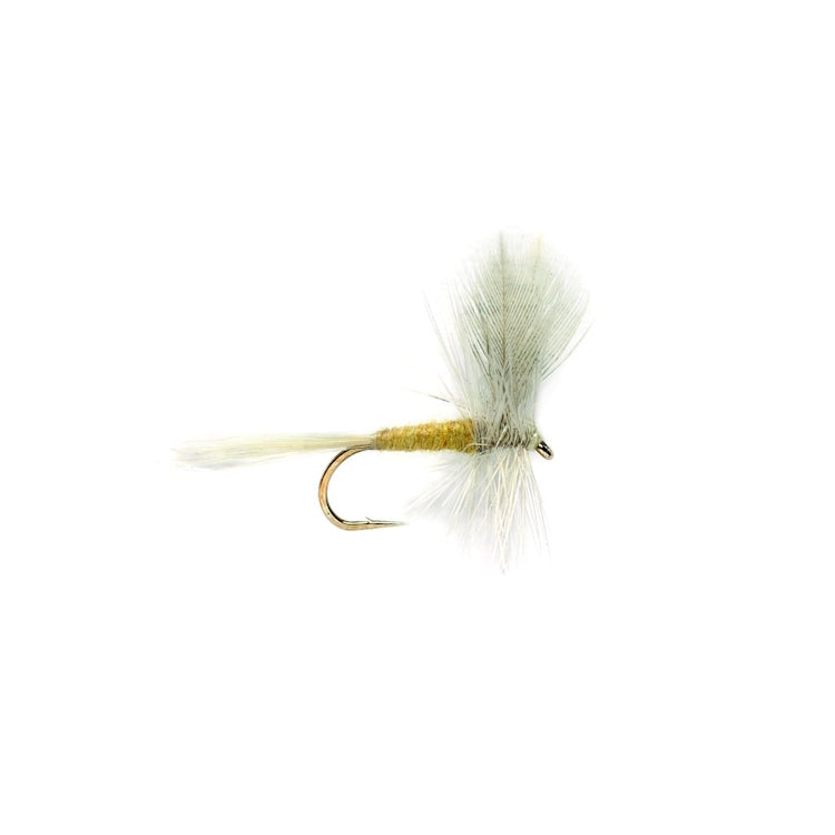 Pale Evening Dun Fly