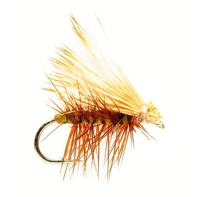 Elkwing Caddis Olive Fly