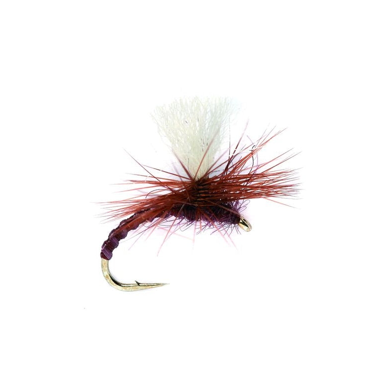 Flexi Claret Fly