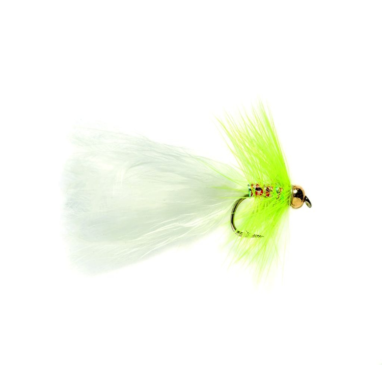 Yellow Dancer Fly – John Norris